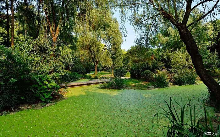 绿绿葱葱夏季更显清凉