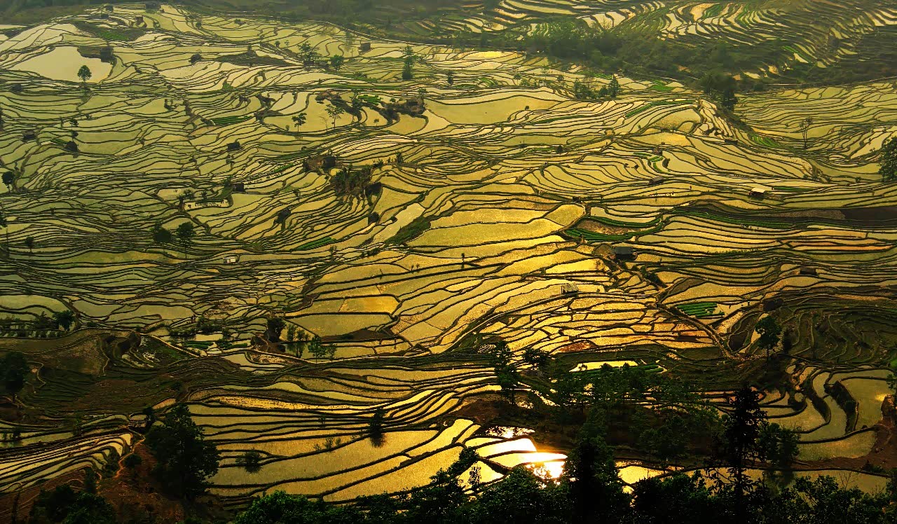 大都市呆久了,是不是想体验一下田园生活