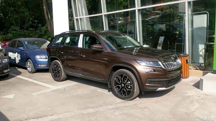 檀木棕大爱开了3个月