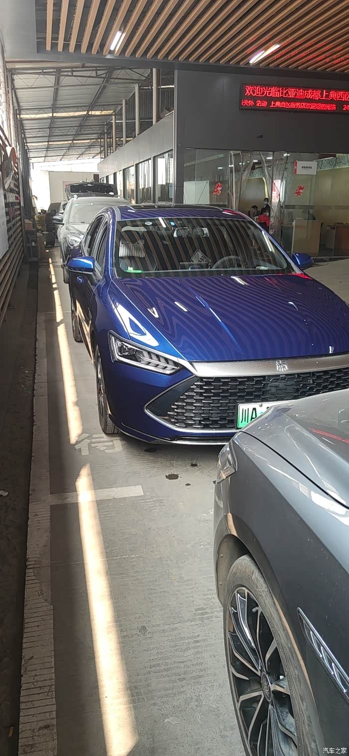 请问秦plusev蓝色和黑色的车有人订到过吗