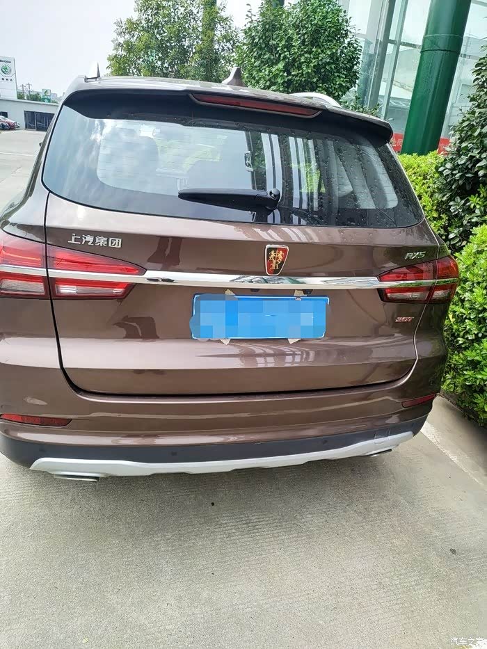 为什么少有人选择巧克力棕呢