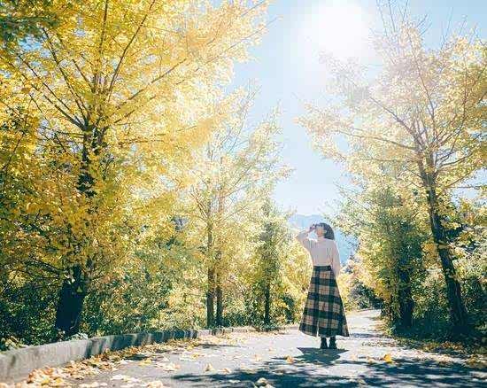 旅游是获得愉悦感和浪漫性的最好媒介.