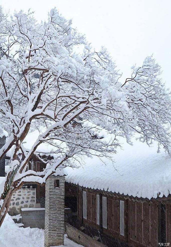 起炉烹茶慢慢饮静听雪落簌簌声