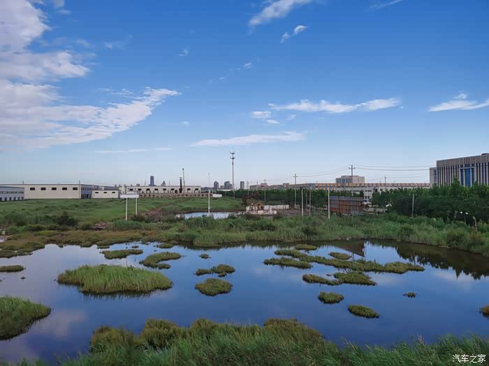 东营白鹭园一日游--与博越pro的美好邂逅