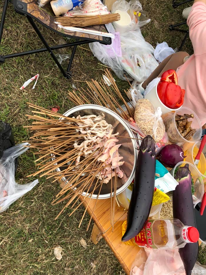 春光正好,河边烧烤