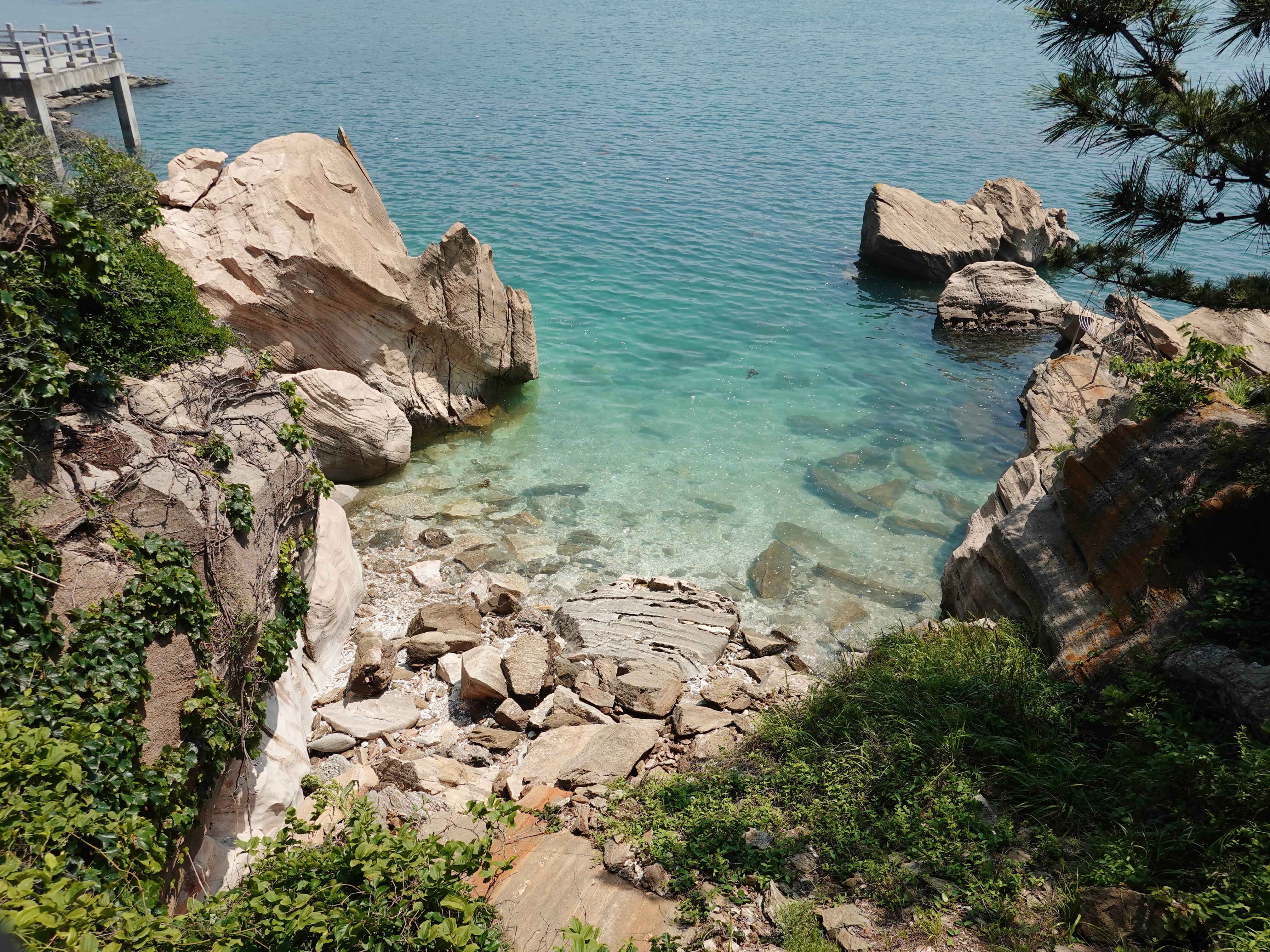 【tintin短途游】端午大小长山岛度假旅行