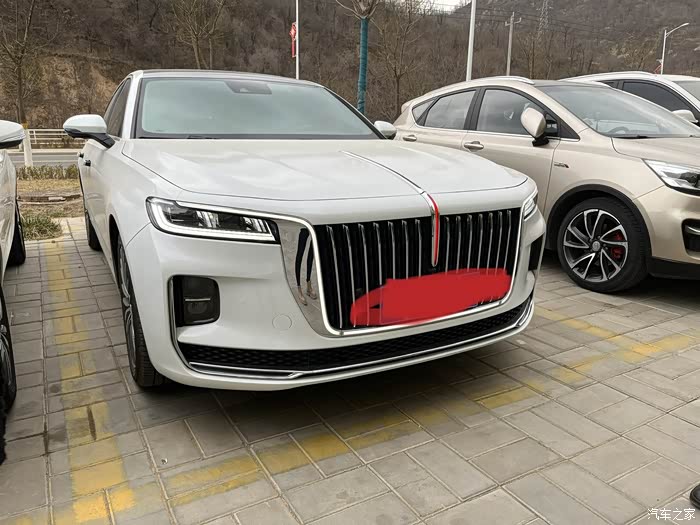 【图】白色h9你见过吗_红旗h9论坛_汽车之家论坛