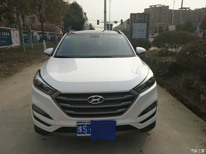 5466 | 回复: 2 途胜论坛 闲来无事晒几张我家小途陪我一年的途途