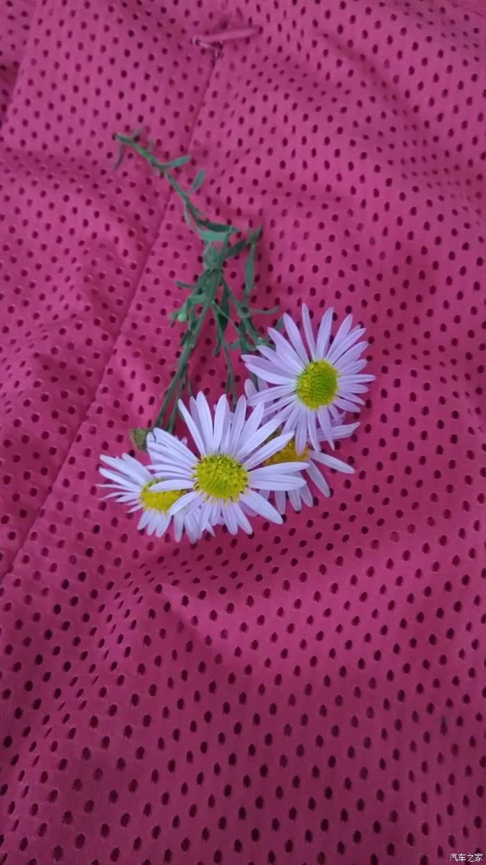 【图】求2017款自动舒适版朗逸落地价