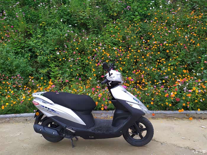 【图】铃木uu跟巧格i125选哪个_摩托车论坛_汽车之家论坛