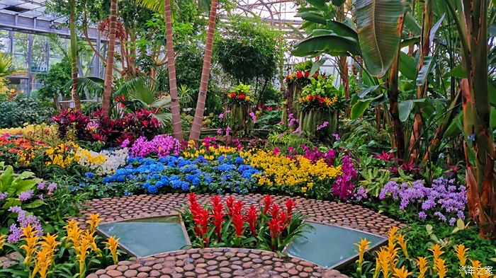 五一曬旅行日記跟著老婆全國遊北京篇國家植物園