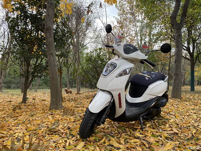 新大洲本田ns110q挺好的