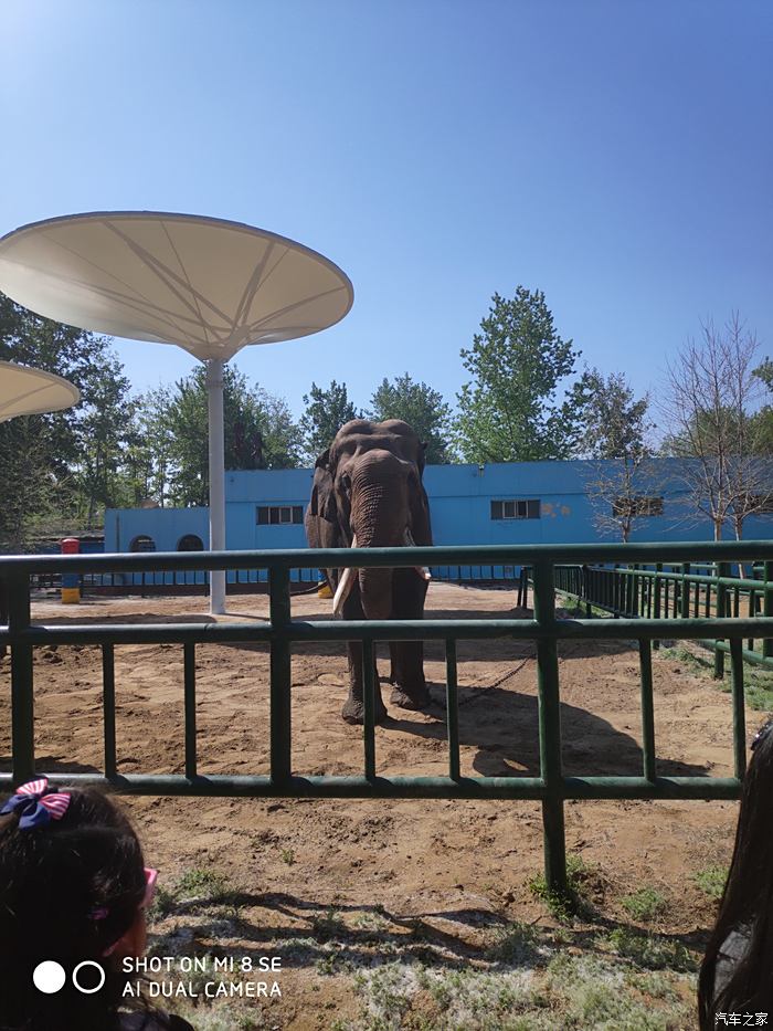 用車感受自駕好開吉利博越遊秦皇島野生動物園