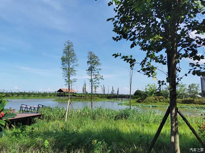 【不改?怎么型!】吉利缤瑞上市两周年,因一台车相聚在湿地公园