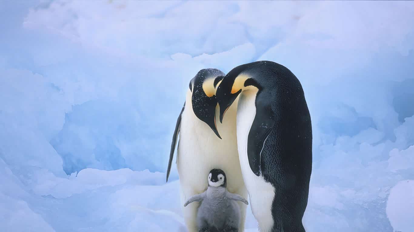 山河滚烫,不如来份麻辣烫