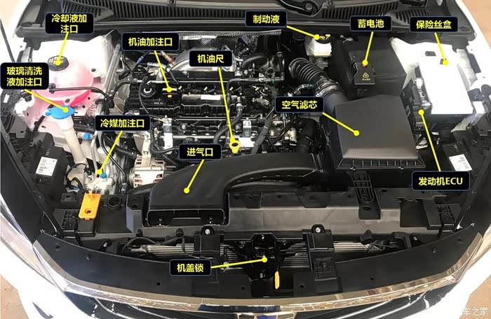 实用才是硬道理,缤瑞!