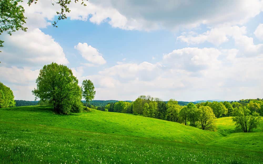 阳光和煦的好天气,体会了一整天的岁月静好.很美,很惬意