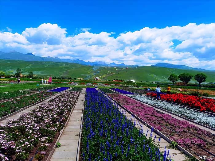 【图】自驾出行第三站那拉提花海_新疆论坛_汽车之家论坛