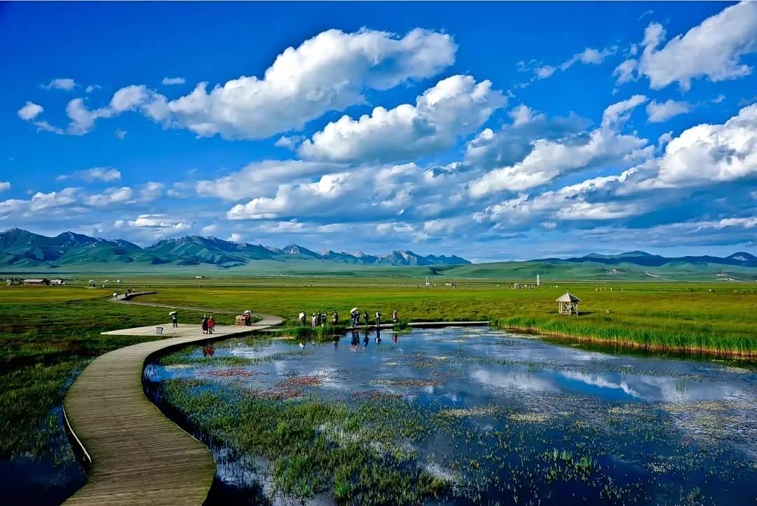 夏季是若尔盖大草原最美的季节碧草连天
