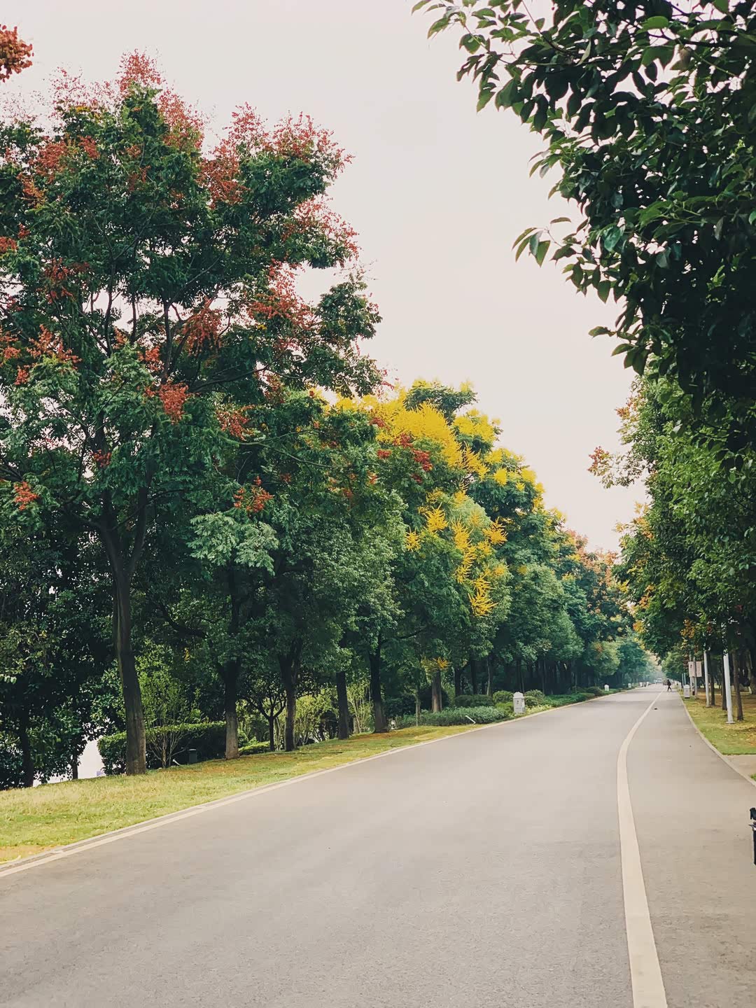 长沙橘子洲头,秋.