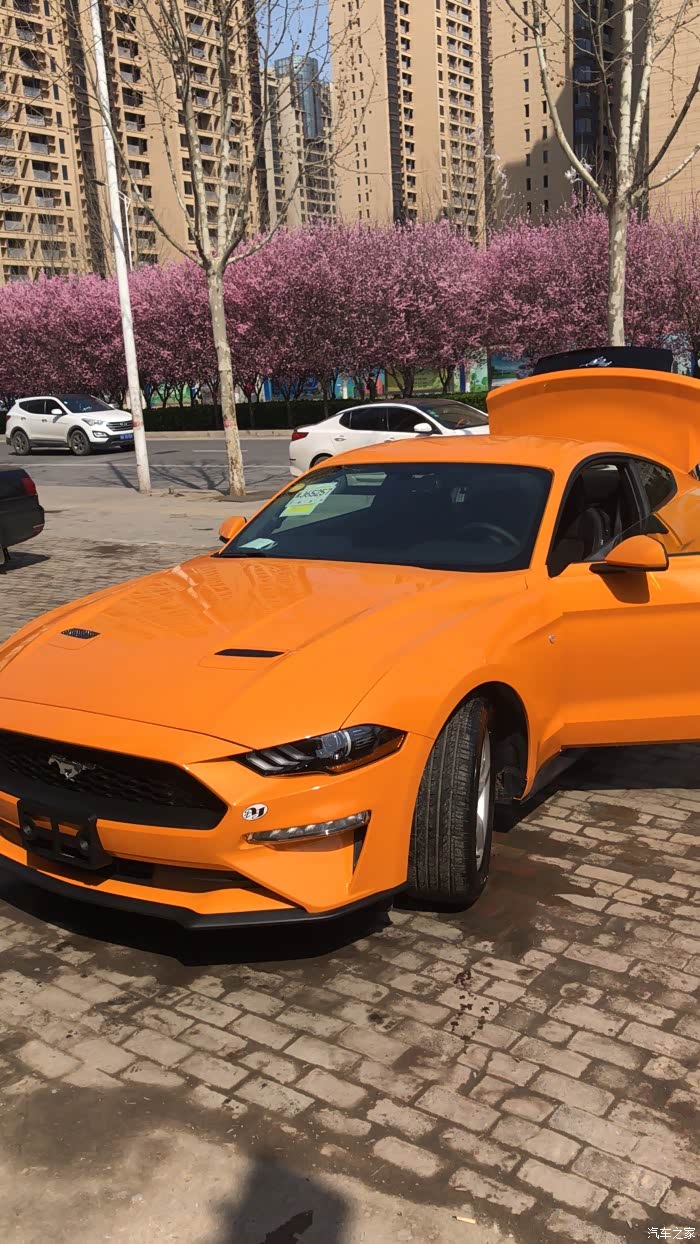 【图】2018款野马暴力橙已经订车_mustang论坛_汽车之家论坛