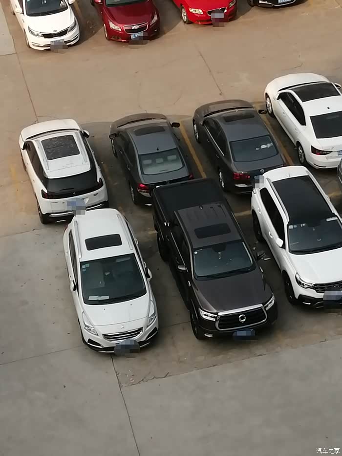 长城炮双11当天提车,坛友们现场看车才能真实体会高大威猛漂亮