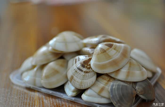 风的记忆二在风车岛抓螃蟹挖沙贝