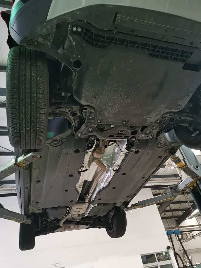 带我的小白(探歌)去保养