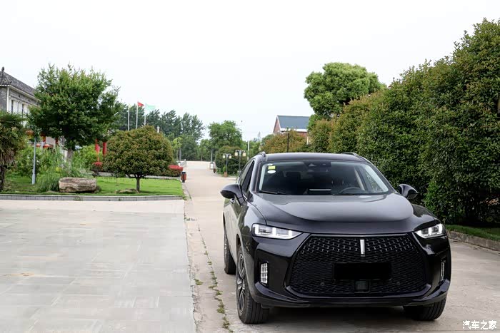 魏派p8非常的时尚运动化