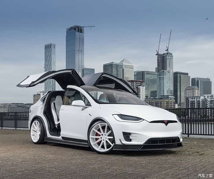 特斯拉model x,鸥翼门独有的炫酷气势