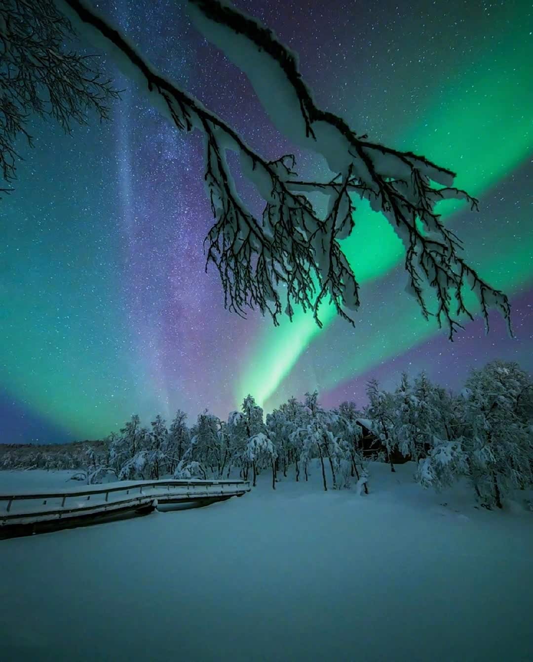北极的极光,好久没见了吧 !