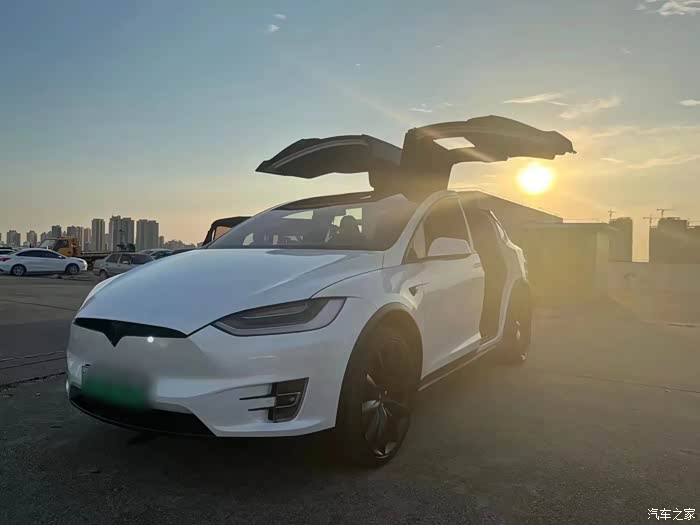 【图】20年上牌特斯拉毛豆x_model x论坛_汽车之家论坛