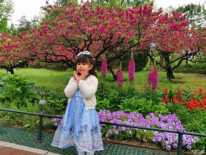 五一曬旅行日記跟著老婆全國遊北京篇國家植物園