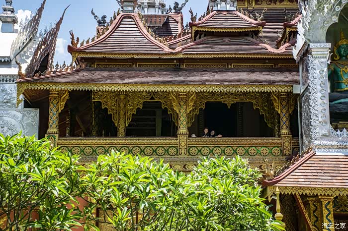疫情中的广州西双版纳rav4之旅满目傣楼大象孔雀和佛塔