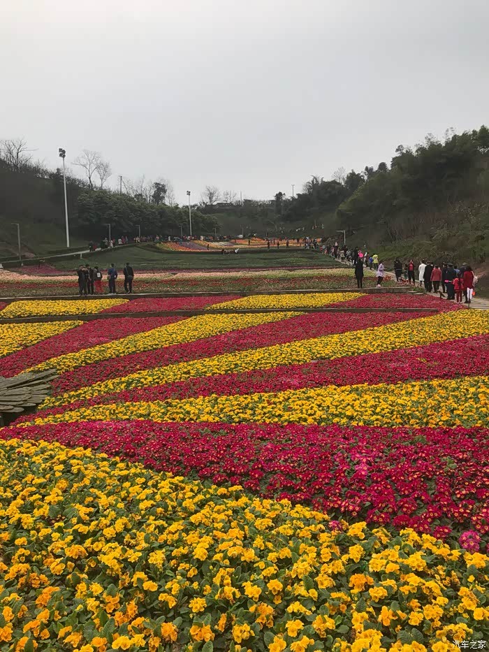 重庆cs35车友会周末踏青之江津鼎山公园