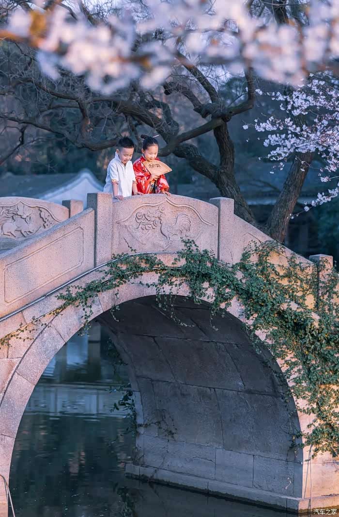 邂逅浪漫樱花季,赏樱拍照,给孩子留下最美回忆