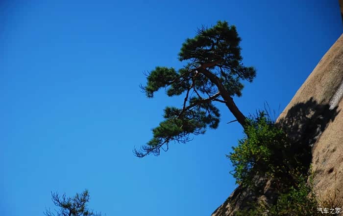 枯松倒挂倚绝壁(连峰去天不盈尺,枯松倒挂倚绝壁)