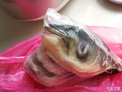 鱼比较鱼头鱼尾留  天烧汤