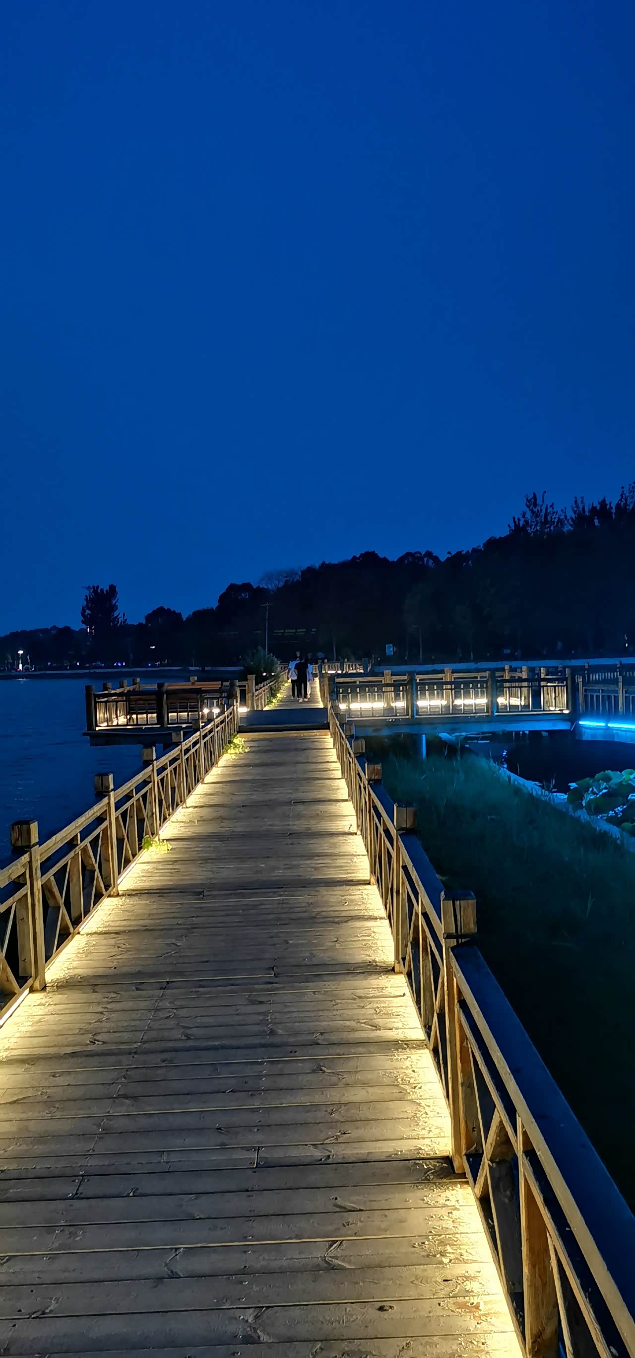 大洼西湖夜景灯光璀璨平静的湖面非常漂亮