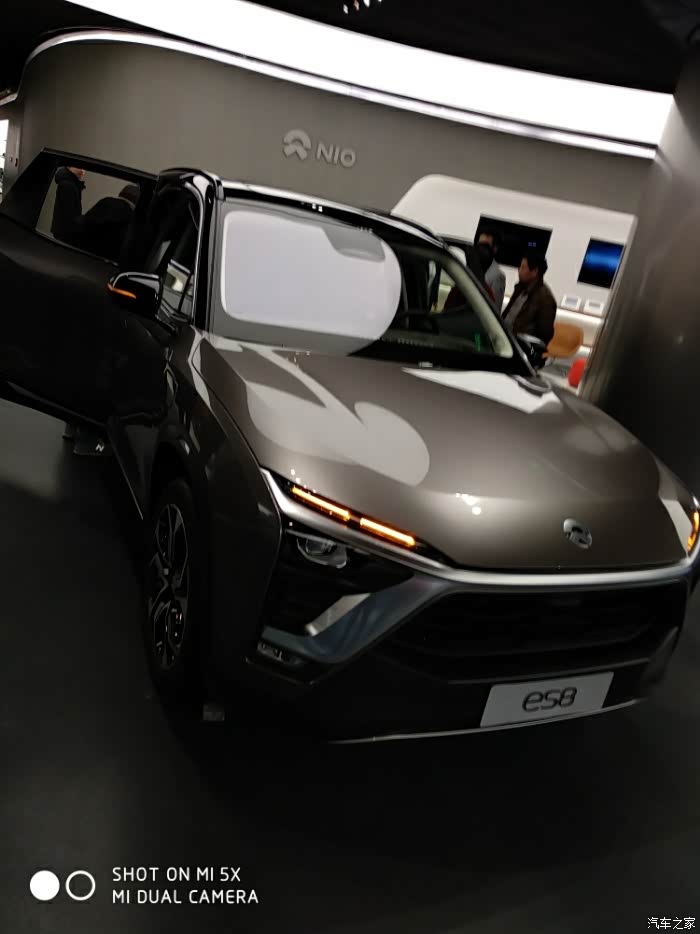 谁有极光棕的高清大图