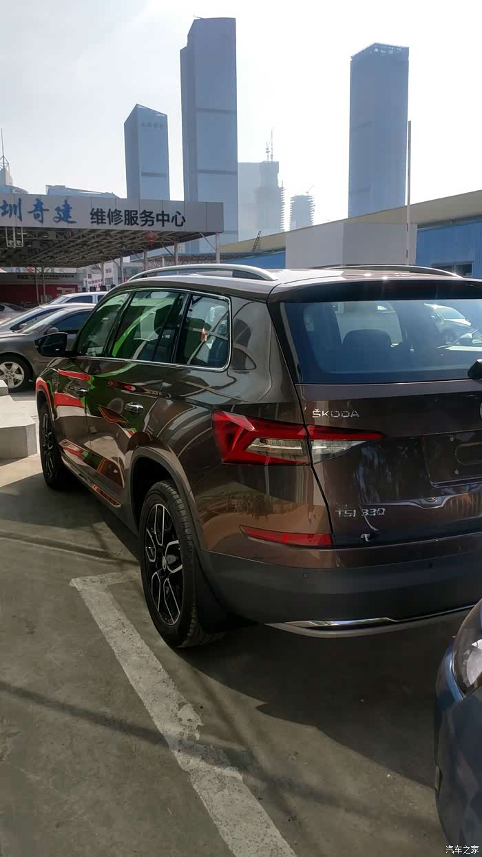 檀木棕大爱开了3个月