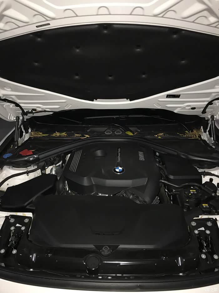 引擎盖里面很多树叶宝马320li求大神指教