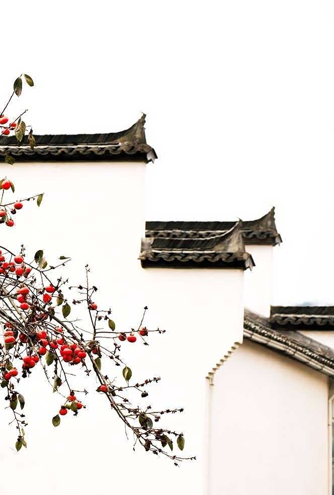 青砖小瓦马头墙,回廊挂落花格窗