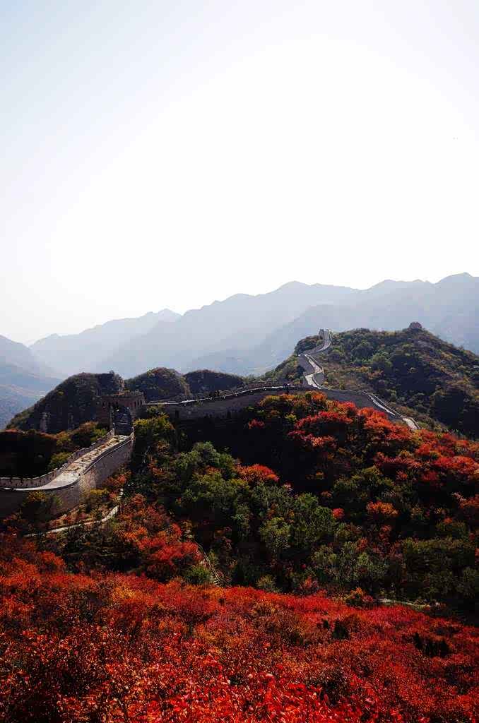 黄河远上白云间一片孤城万仞山