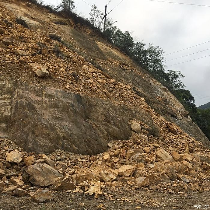 我愛我家鄉花灘林場遊記巧遇虎顏花