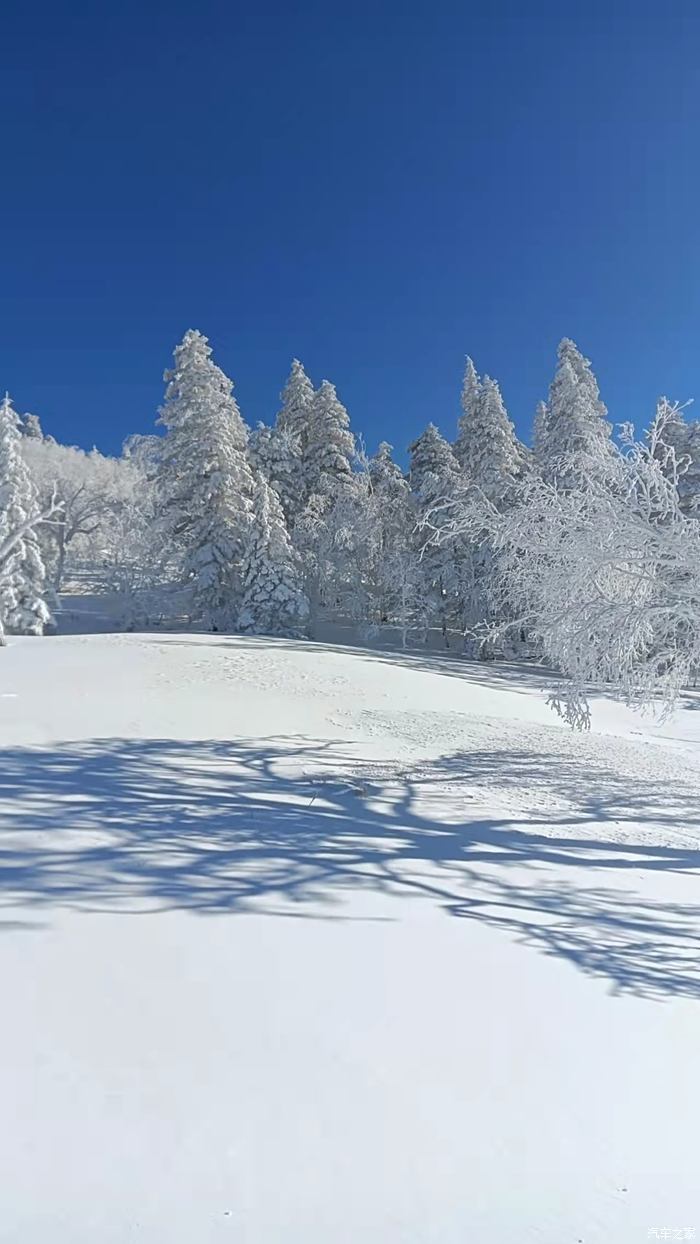 东北雪景手机壁纸图片