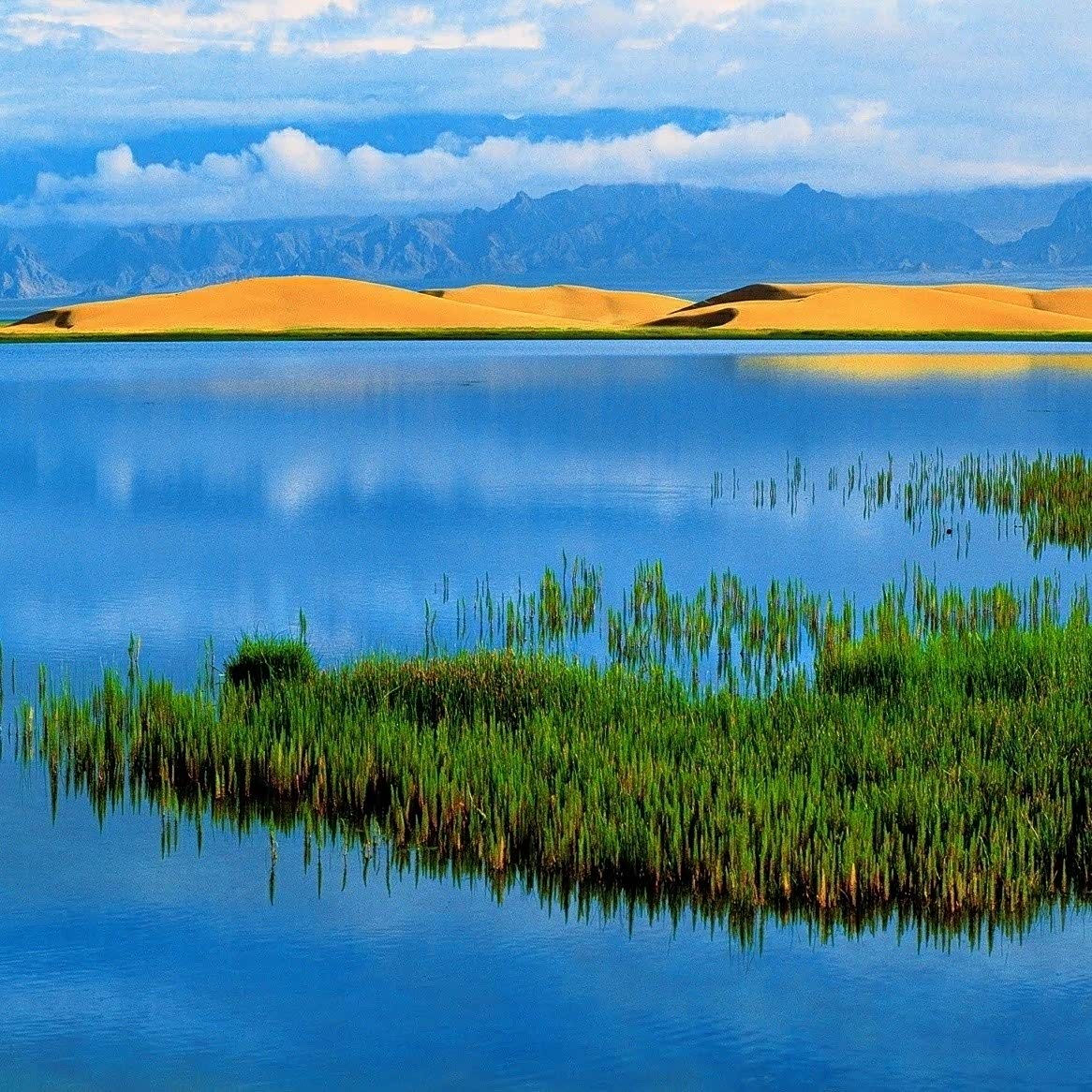 沙漠绿洲,黄沙草原,新疆就是这么一个神奇的地方.