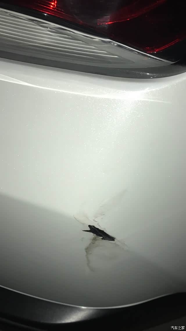 启辰d60论坛_汽车之家论坛