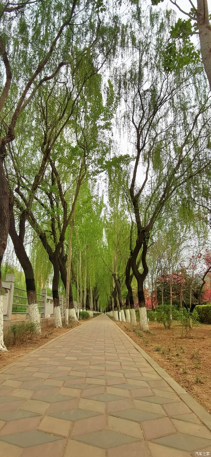 【图】【万物复苏送福利】环城水系(东)风景区_自驾游论坛_汽车之家