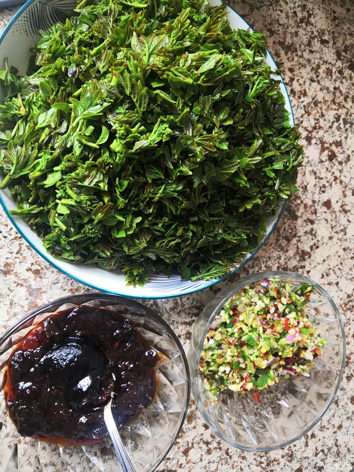 初试制作花椒芽辣酱